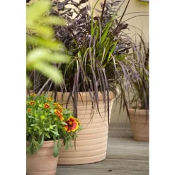 Pot Cocio Liso strié en terre cuite D53x H37