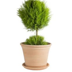 Pot Cocio Terraza en terre cuite claire D53x H40