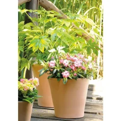 Pot Cono Antica Terre cuite claire – D36xH32,9