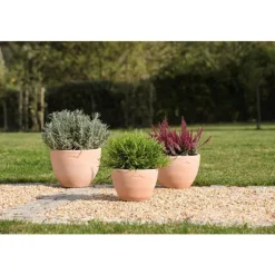 Pot Cuvier bas contemporain en terre claire H 17 x Ø 23 cm