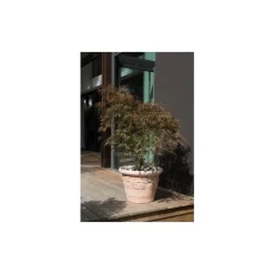 Pot Cuvier raisin naturel H 48 x Ø 47 cm