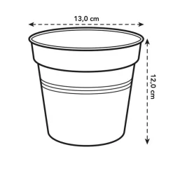 Pot D13 cm provence orchidées Elho transparent
