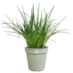 Pot de culture en polypropylène vert pierre Elho Green basics - Ø 21 x H 19,3 cm