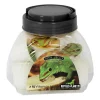 Pot de vitamines pour lézard Reptile Planet Vita Jelly Vitamin Lizzard - x 10 dosettes