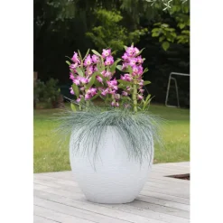 Pot egg Graphit blanc cérusé D50 x H45