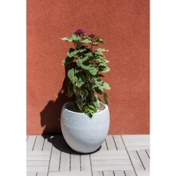 Pot egg Graphit blanc cérusé D50 x H45