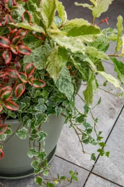 Pot en plastique vert kaki Poetic Joy 50 - Ø 48,8 x H 40,6 cm