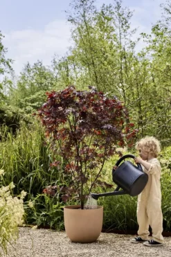 Pot en polypropylène argile froide Elho Sereh Round - Ø 29,5 x 25,3 cm