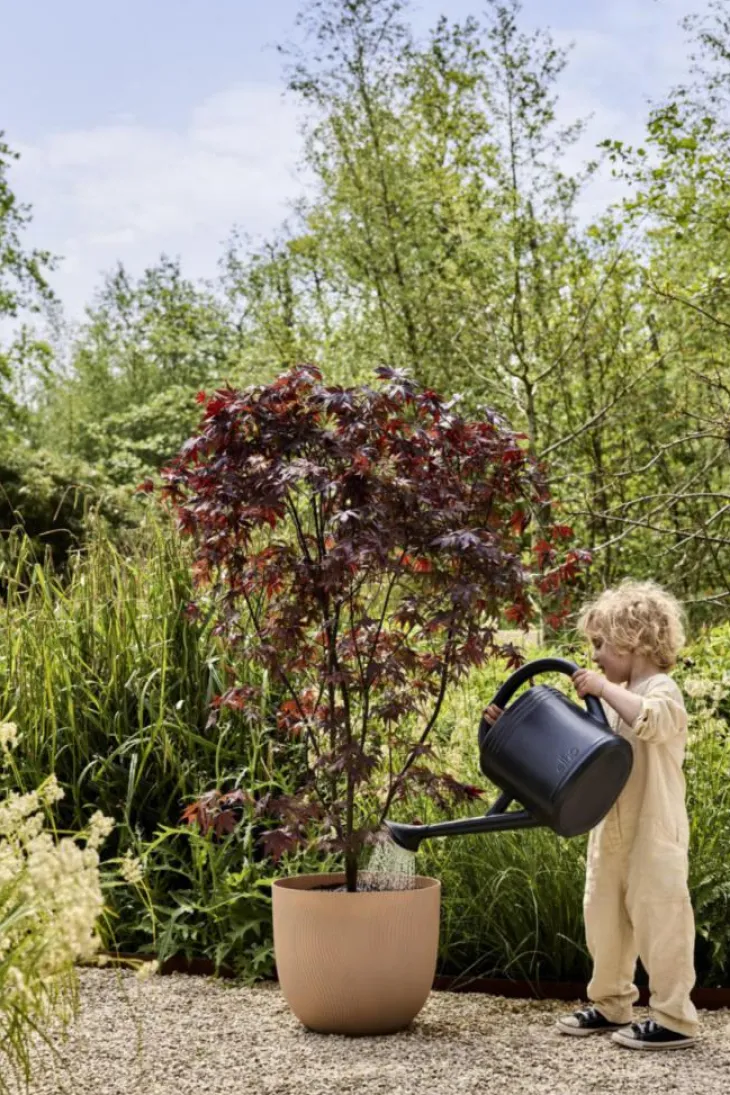 Pot en polypropylène argile froide Elho Sereh Round - Ø 29,5 x 25,3 cm