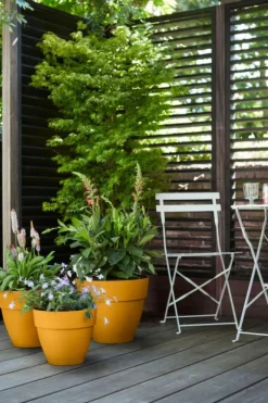 Pot en polypropylène jaune miel Elho Vibia Campana - Ø 35 x 30 cm