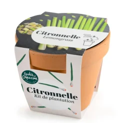 Pot en terre cuite antique avec graines de citronnelle bio Radis & Capucine