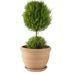 Pot gamme Coco Ø 42 cm