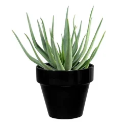 Pot horticole en terre cuite émaillée Noir - D10 x H8.5