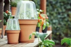 Pot provence orchidees