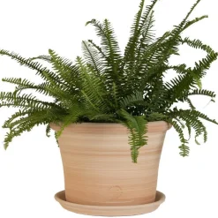 Pot rond Cocio Lisio en terre cuite claire – D24x H19