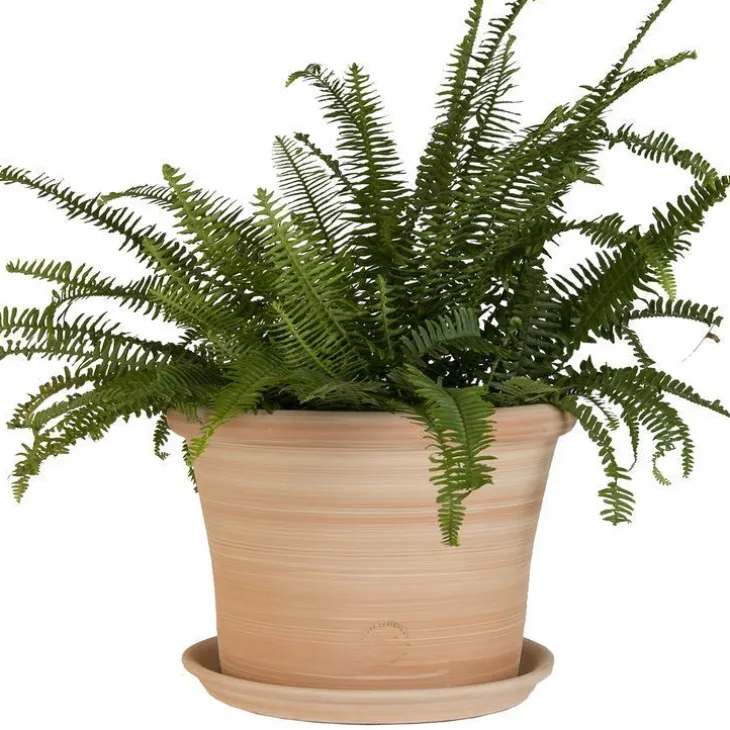 Pot rond Cocio Lisio en terre cuite claire – D24x H19