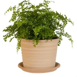 Pot strié gamme cocio liso Ø 24 cm