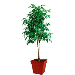 Pot Toscane Rouge rubis L.39x39 x H.39 cm 38 litres