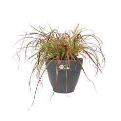 Pot vibia campana rond Elho de 26 L coloris noir Ø 35 x H 29 cm
