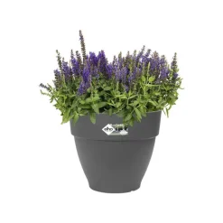 Pot vibia campana rond Elho de 11 L coloris noir Ø 30 x H 25 cm