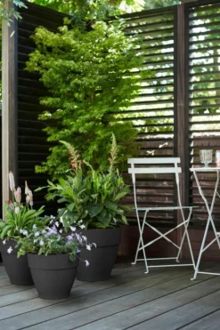 Pot vibia campana rond Elho de 11 L coloris noir Ø 30 x H 25 cm