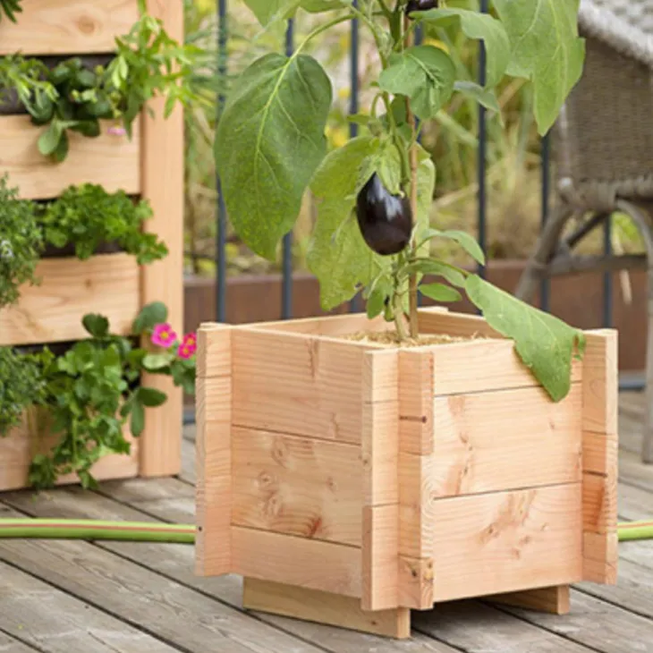 Potager carré 40 cm x 40 cm