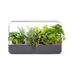 Potager coloris graphite Gourmet Indoor Véritable avec 6 lingots fournis - 1 étage