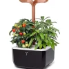Potager d'intérieur autonome compact Exky® SMART Black Copper - livré avec 2 lingots