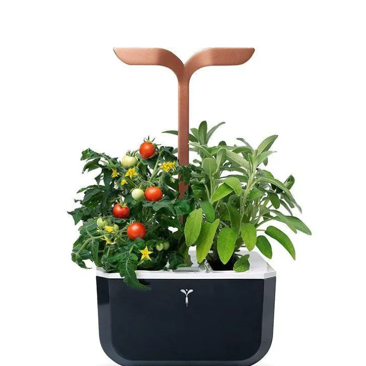 Potager d'intérieur autonome compact Exky® SMART Black Copper - livré avec 2 lingots