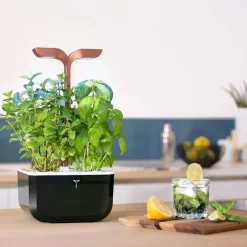 Potager d'intérieur autonome compact Exky® SMART Black Copper - livré avec 2 lingots
