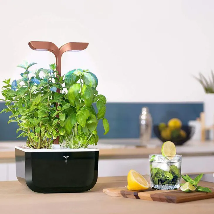 Potager d'intérieur autonome compact Exky® SMART Black Copper - livré avec 2 lingots