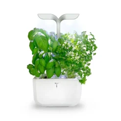 Potager d'intérieur autonome compact Exky® SMART Arctic White - livré avec 2 lingots