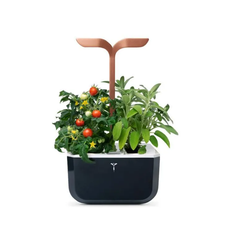 Potager d'intérieur autonome compact Exky® SMART Soft Black - livré avec 2 lingots