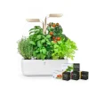 Potager d'intérieur autonome Véritable® CONNECT – Moonlight Gold - livré avec 4 lingots