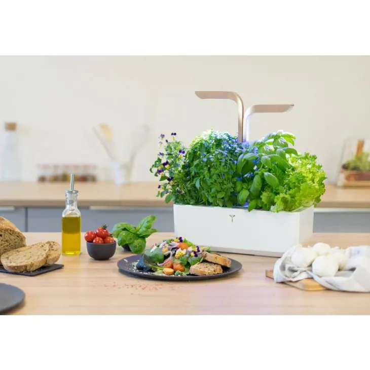 Potager d'intérieur autonome Véritable® CONNECT – Moonlight Gold - livré avec 4 lingots