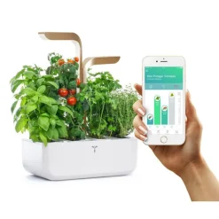 Potager d'intérieur autonome Véritable® CONNECT – Moonlight Gold - livré avec 4 lingots