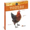 Poules aux éditions Artemis