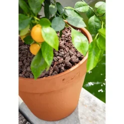 Pouzzolane 7/15 mm botanic® - 20 L