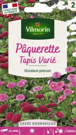 Pâquerette Tapis varié Vilmorin - graines à semer