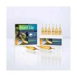 PRODIBIO - Start Up 6 ampoules