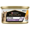 Pâtée pour jeune chat Purina Pro Plan - 85 g