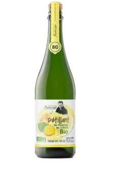 Pétillant pomme citron bio Domaine Fournier - 75 cl