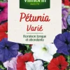 Pétunia varié Vilmorin - graines à semer