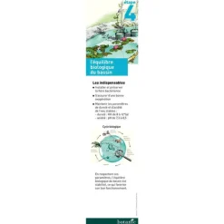 Purificateur de bassin Bactogen 300 gr