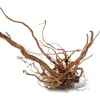 Racine décorative pour terrarium en bois naturel coloris marron Aquavie racine Curlivigne - Taille L