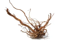 Racine décorative pour terrarium en bois naturel coloris marron Aquavie racine Curlivigne - Taille L