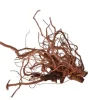 Racine décorative pour terrarium en bois naturel coloris marron Aquavie racine Curlivigne - Taille XL