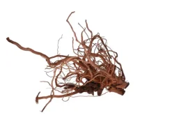 Racine décorative pour terrarium en bois naturel coloris marron Aquavie racine Curlivigne - Taille XL