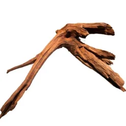 Racine de mangrove naturelle SUPERFISH pour aquarium - 40cm