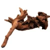 Racine de mangrove naturelle pour aquarium SUPERFISH - 20 cm